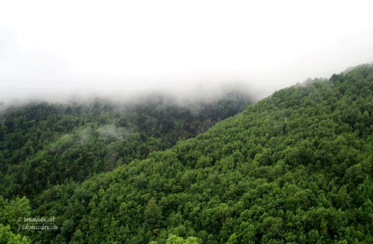 Tot i que ens plou una mica, ens encanta visitar aquesta zona de Catalunya!