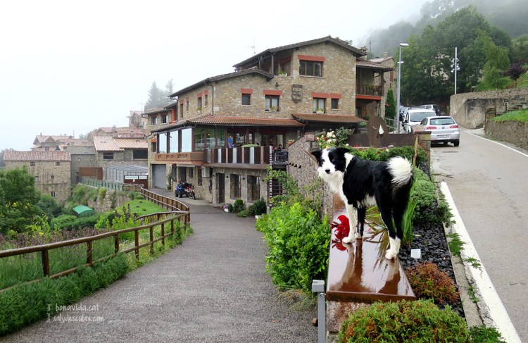 Fonda Rigà, al poble de Tregurà
