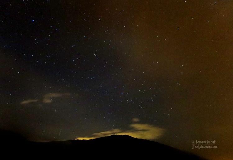 El cel estrellat, nit ripollesa
