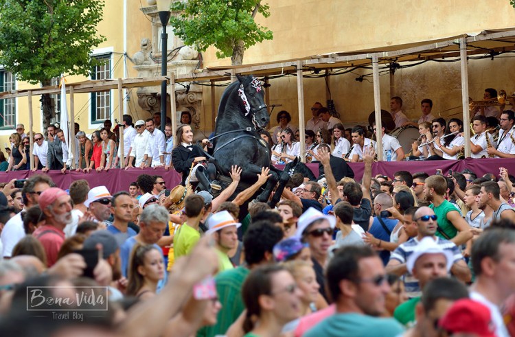 La Plaça de la Constitució acull l''exhibició de cavalls i genets