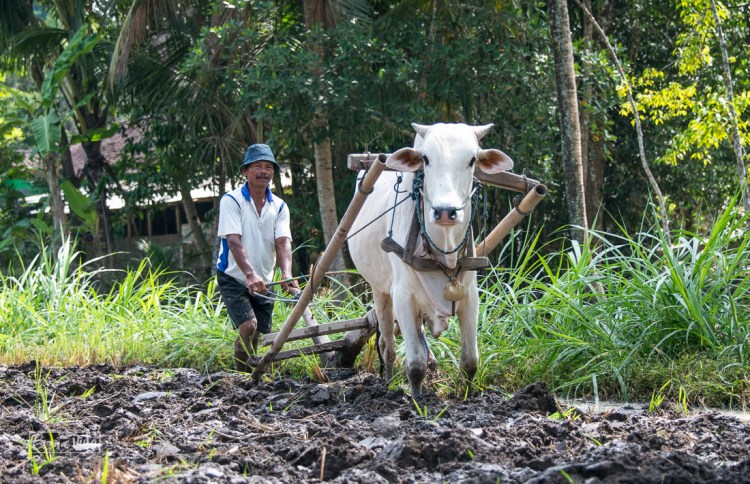 Gent molt senzilla, i molt amabla