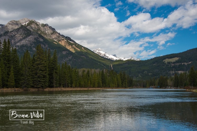Envoltats de natura per tot arreu