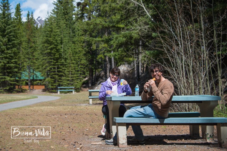 Podem fer senderisme i picnics