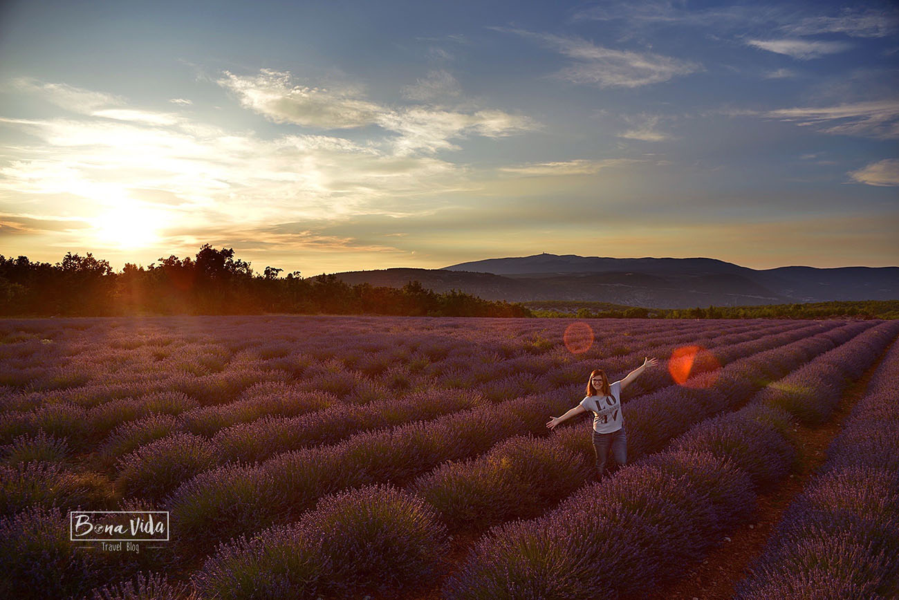 france provence lavanda sunset cris