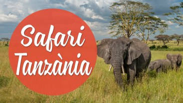 icones safari tanzania cat