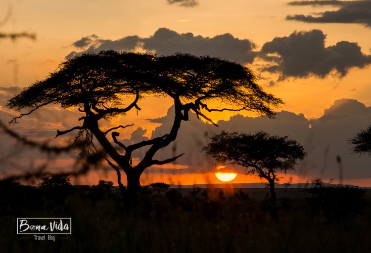tanzania serengeti sunset