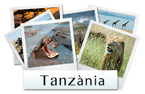 galeria fotos tanzania