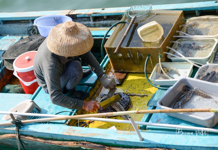 hongkong_mercat_saikun-11