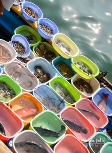 hongkong_mercat_saikun-13