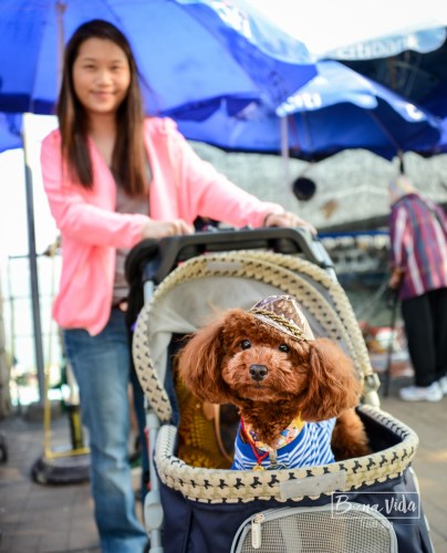 hongkong_mercat_saikun-17