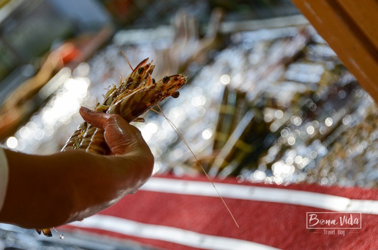 Chuen Kee Sea Food Restaurant. Sai Kung. HongKong
