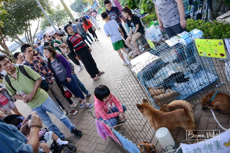 hongkong_mercat_saikun-25