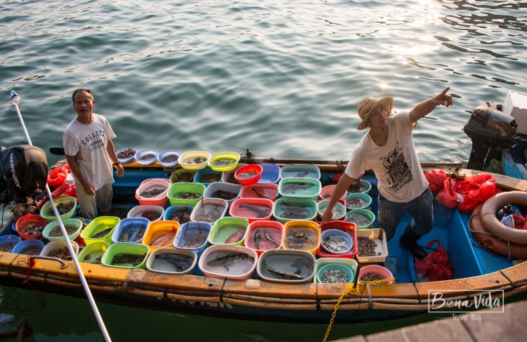 hongkong_mercat_saikun-28