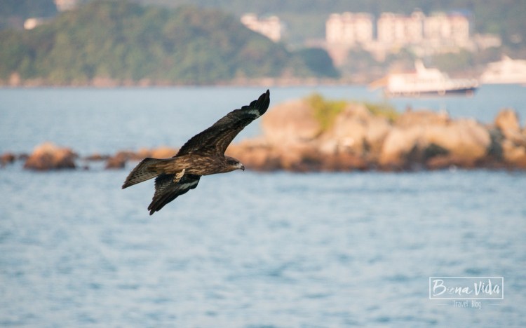 hongkong_mercat_saikun-29