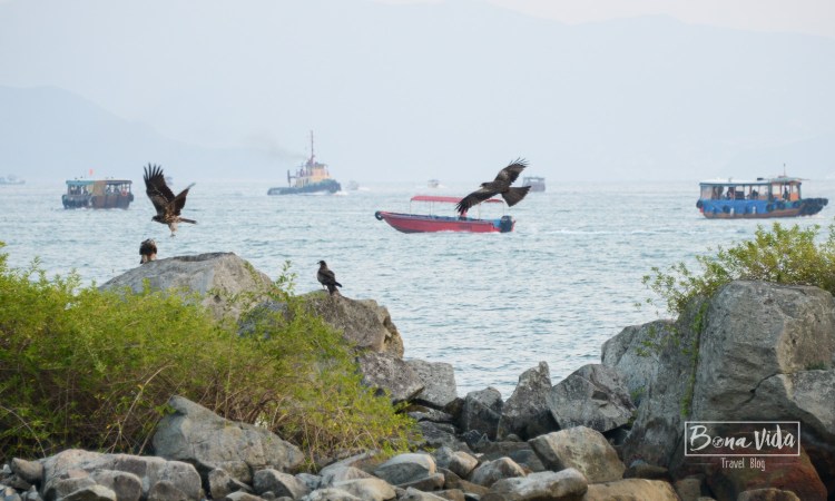 hongkong_mercat_saikun-30