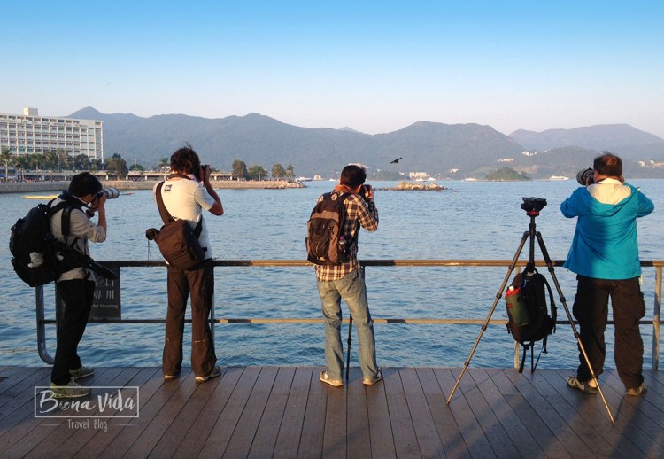 hongkong_mercat_saikun-34