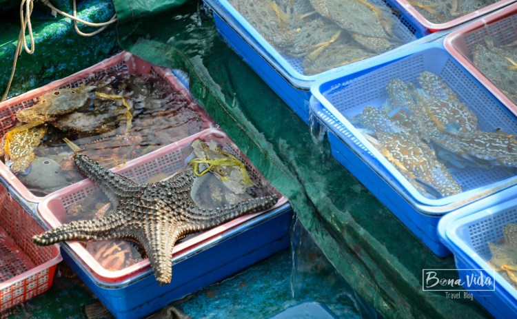 hongkong_mercat_saikun-4