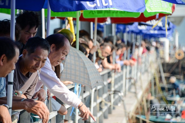 hongkong_mercat_saikun-8