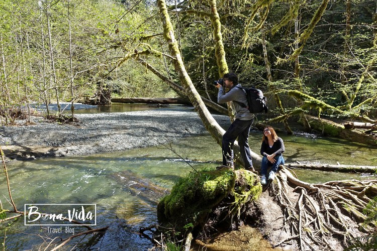 vancouver island cathedral cove riu