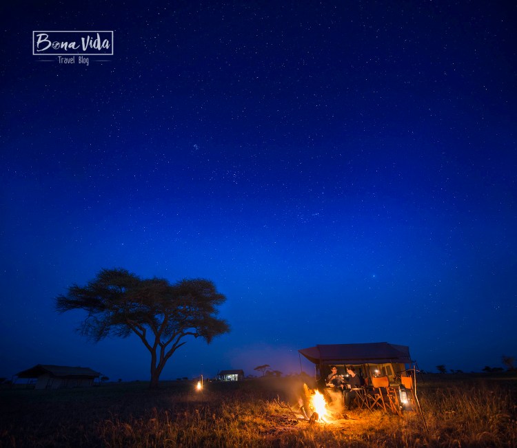 tanzania nosaltres nit serengeti estrelles ok