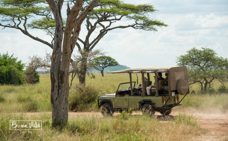 tanzania safari 4x4 obert-1