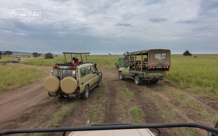 tanzania safari serengeti cotxes-1