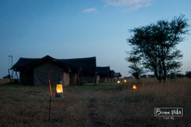 tanzania safari serengeti tendes-1