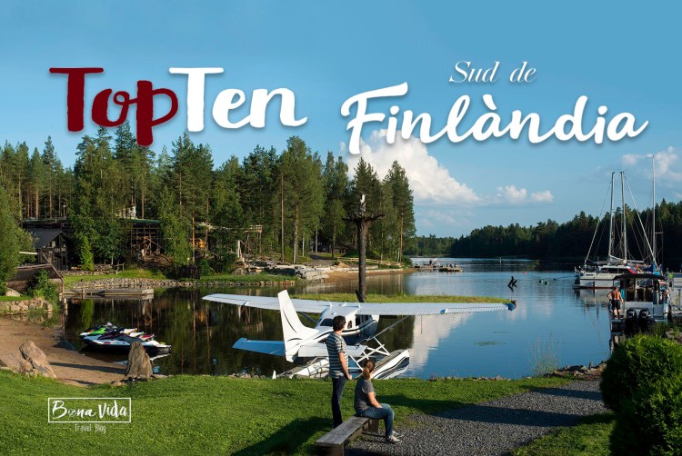 finlandia topten picture cat