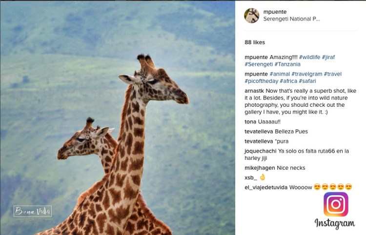 instagram 02 tanzania