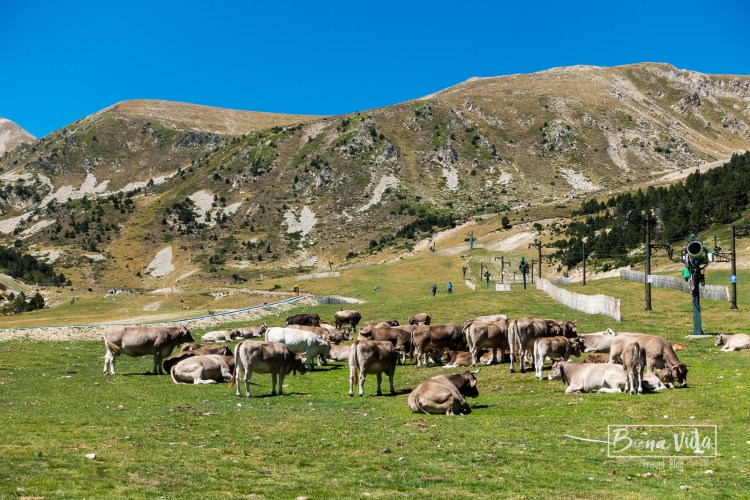 ripolles ruta moto-8