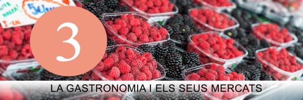 Excursió vaixell Costa Granit Rosa, Ploumanac'h. Bretanya