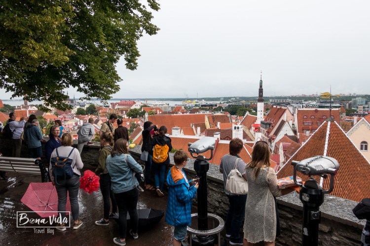 tallinn-19