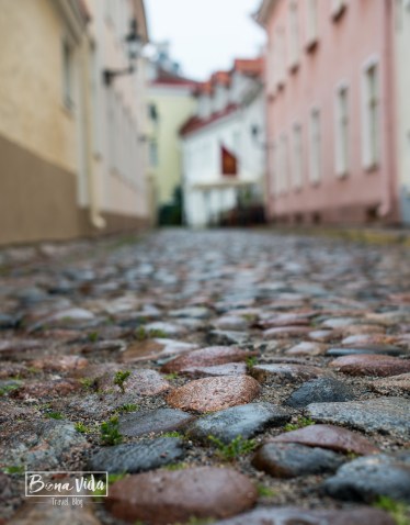tallinn-20