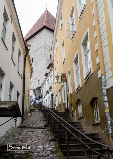 tallinn-30