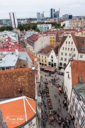 tallinn-6