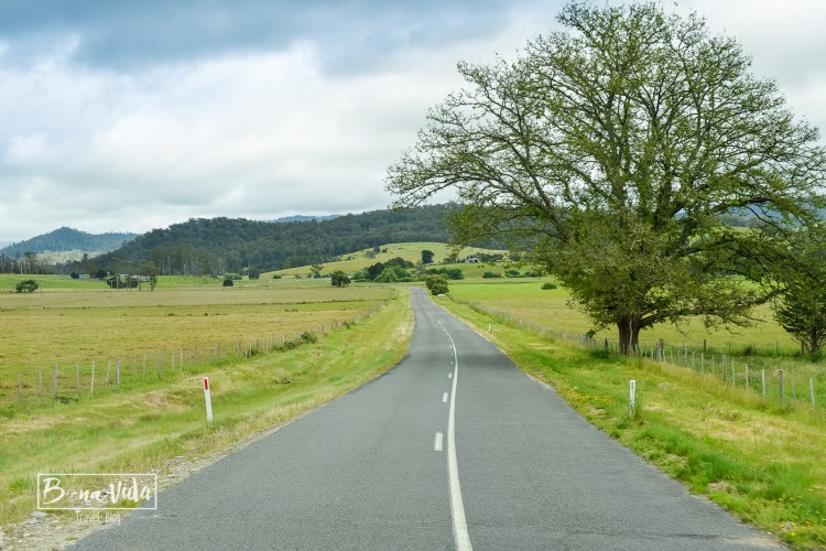 australia-tasmania-19