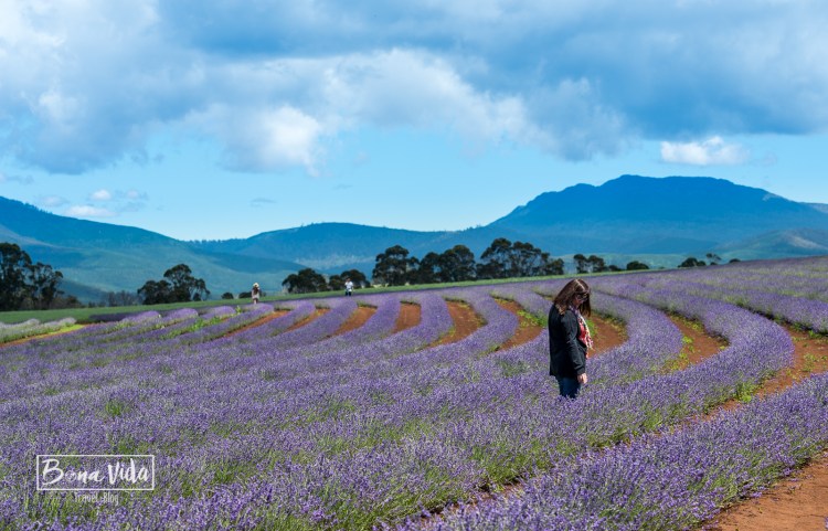 australia-tasmania-21