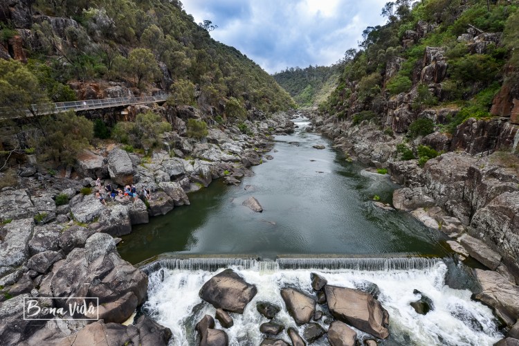 australia-tasmania-22