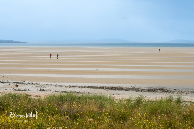 australia-tasmania-3