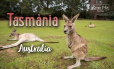 australia-tasmania-bv-02