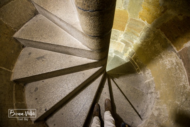 praga-castell-catedral-21