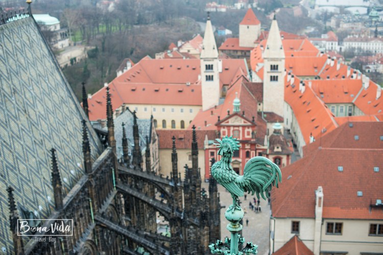 praga-castell-catedral-25