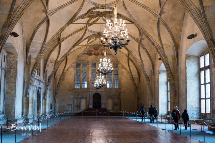 praga-castell-catedral-27