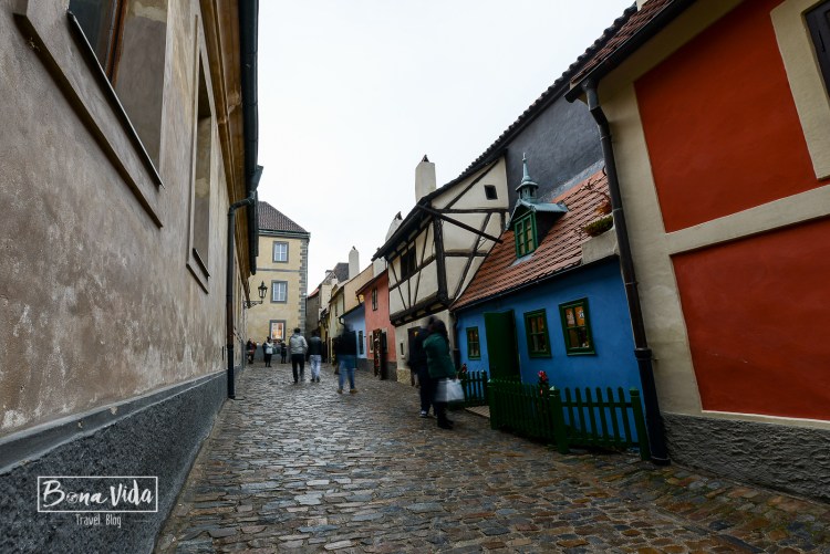 praga-castell-catedral-34