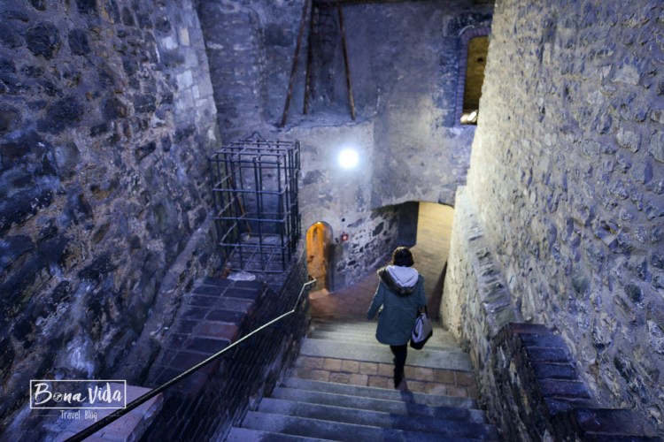 praga-castell-catedral-36