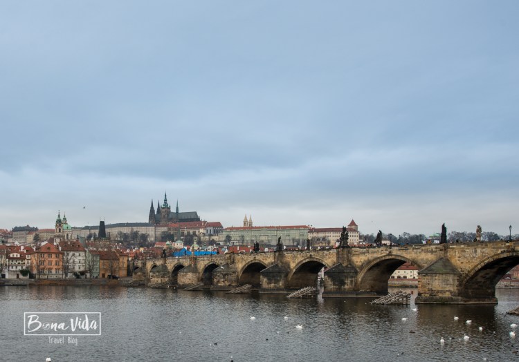 praga-castell-catedral-7