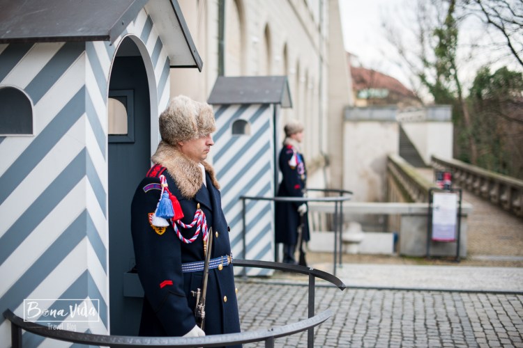 praga-castell-catedral-9