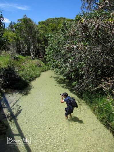 australia-foto-mane-1