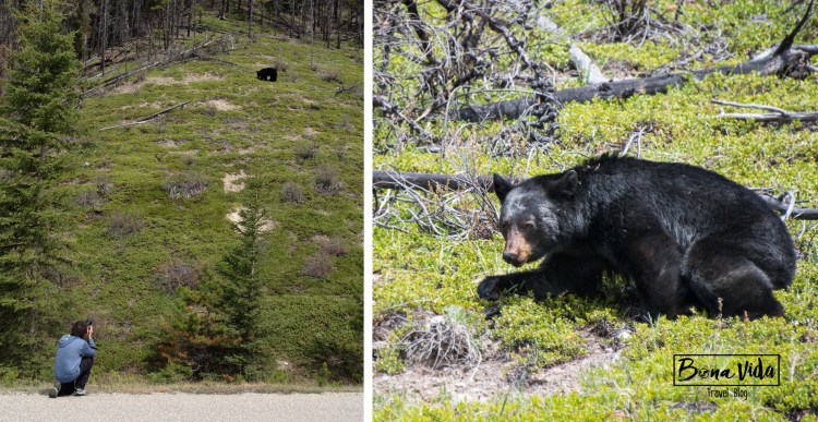 canada-rocky-mountains-mane-foto-os