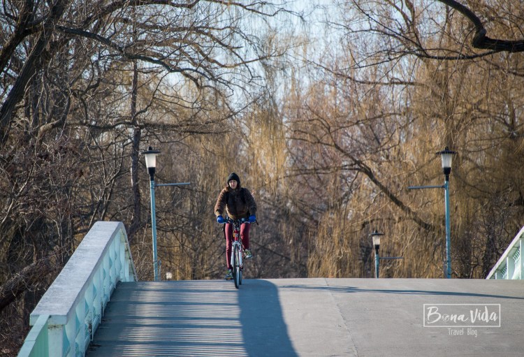canada-toronto-island-11